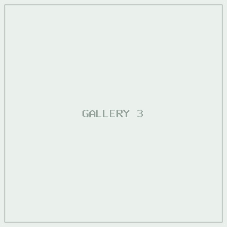 Placeholder gallery image three